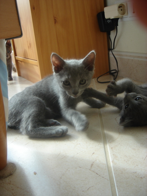 DSC02104.JPG