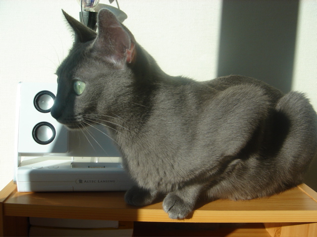 DSC02055.JPG