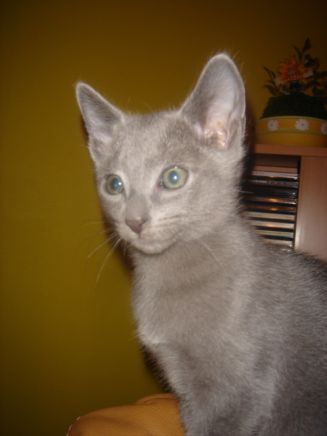 DSC02243.JPG
