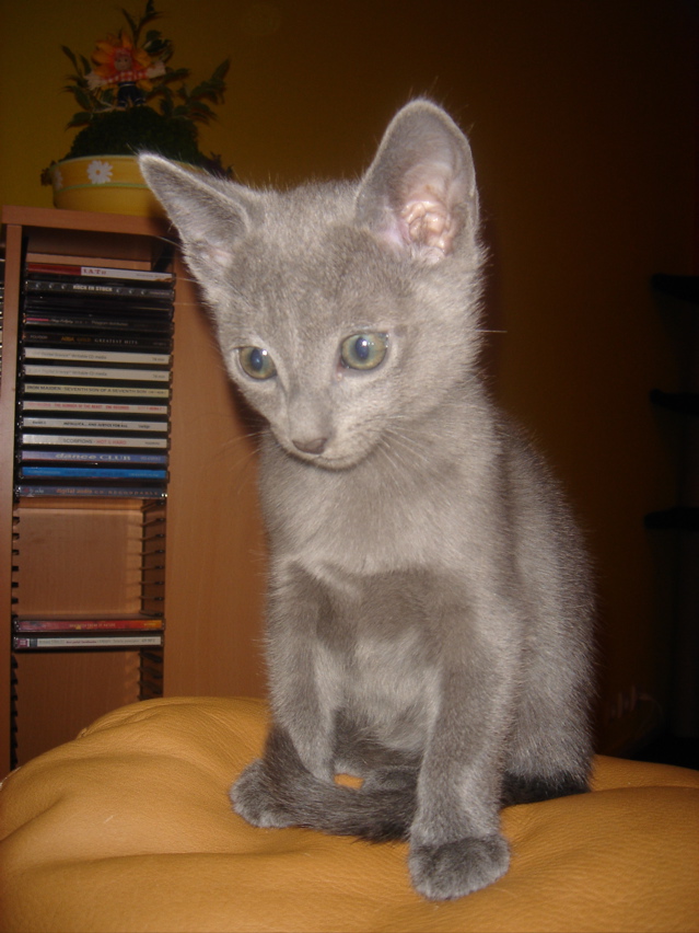 DSC02245.JPG