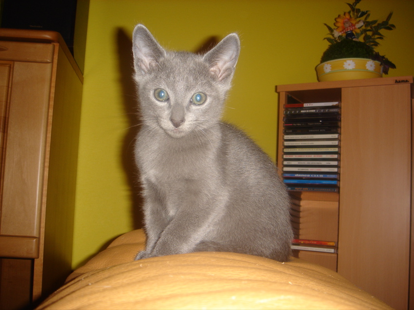 DSC02246.JPG