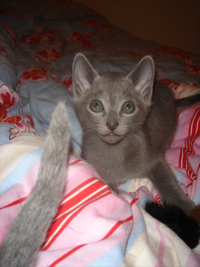 DSC02175.JPG