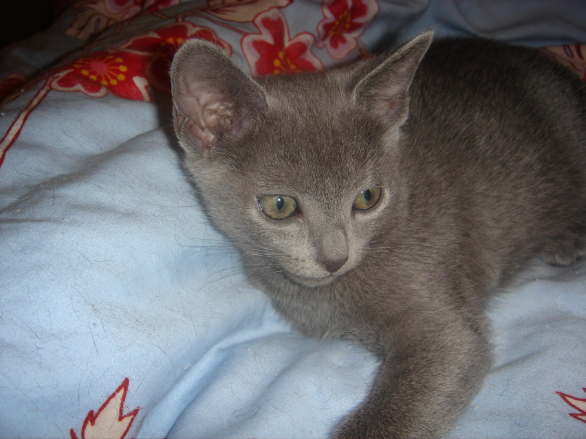DSC02165.JPG