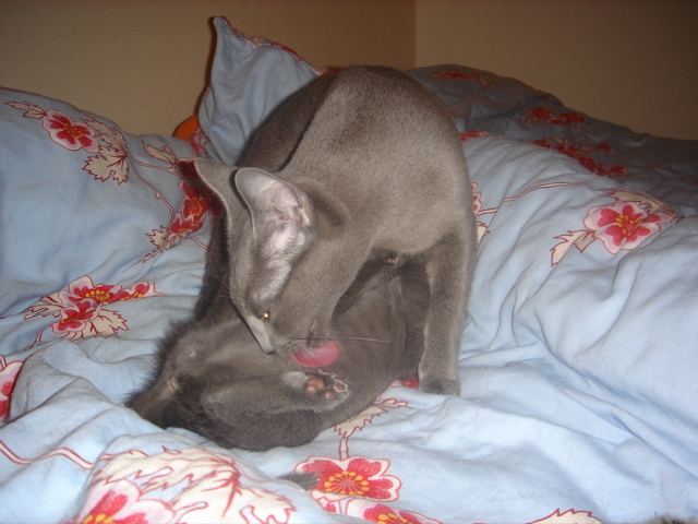 DSC02215.JPG