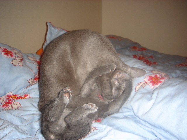 DSC02214.JPG