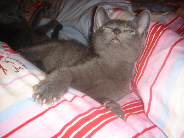 DSC02145.JPG