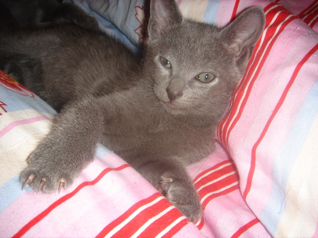 DSC02146.JPG