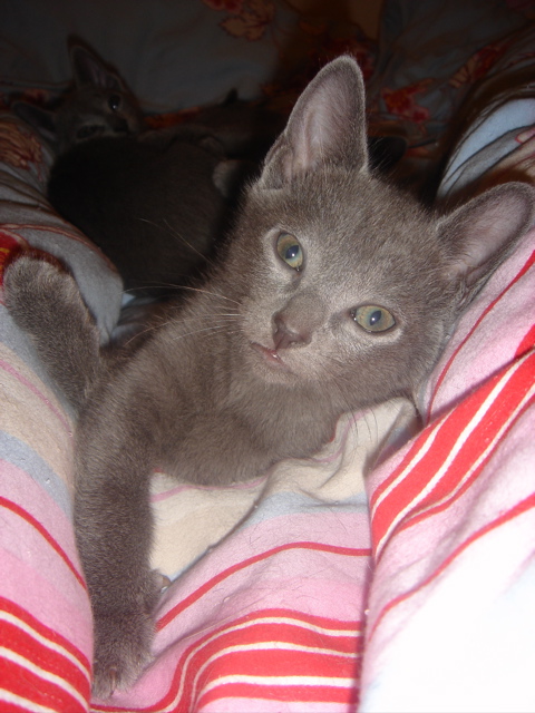 DSC02135.JPG