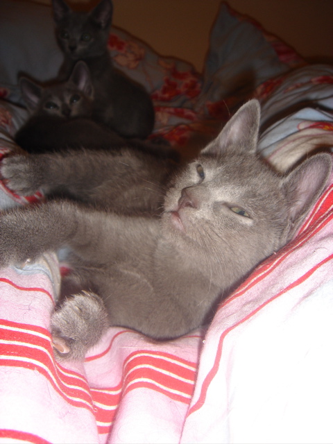 DSC02136.JPG