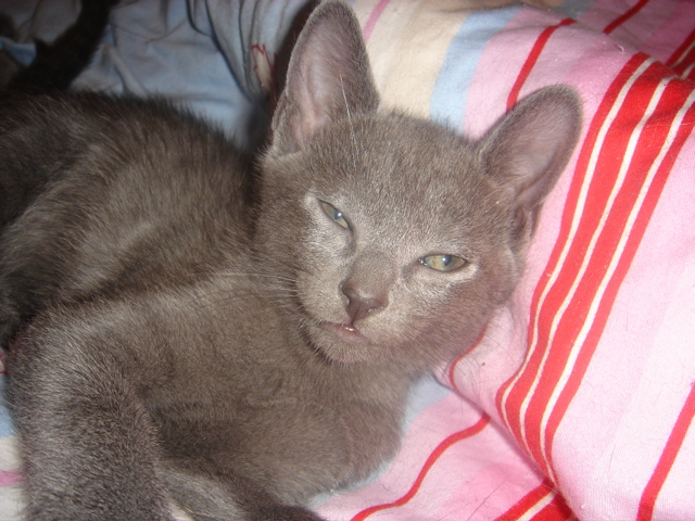 DSC02137.JPG
