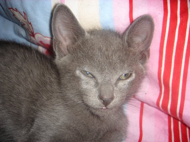 DSC02140.JPG