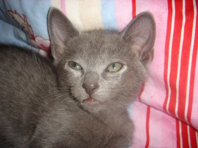 DSC02142.JPG