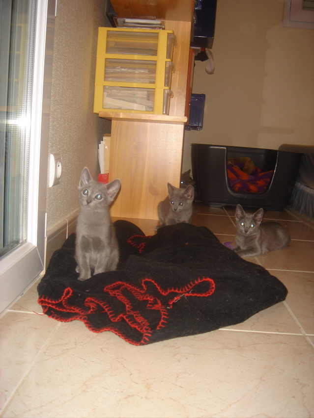 DSC02221.JPG