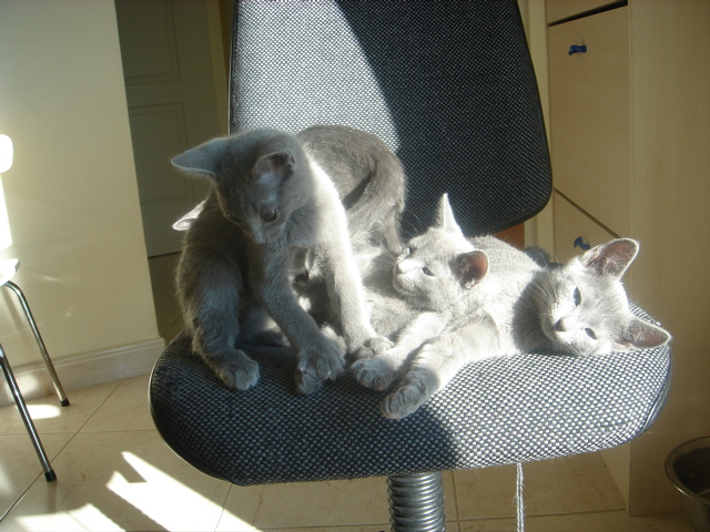 DSC02276.JPG