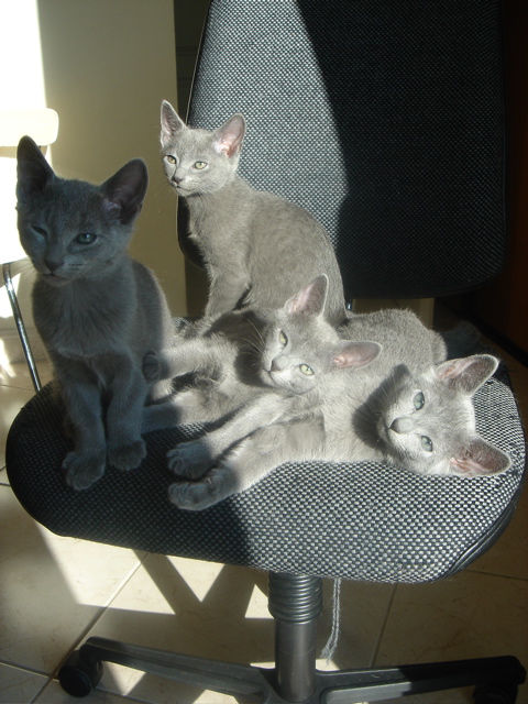 DSC02277.JPG