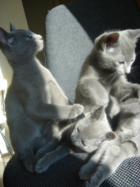 DSC02283.JPG