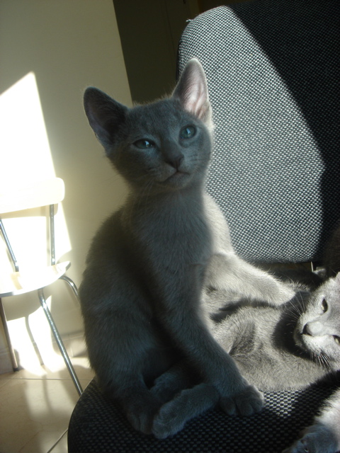 DSC02284.JPG