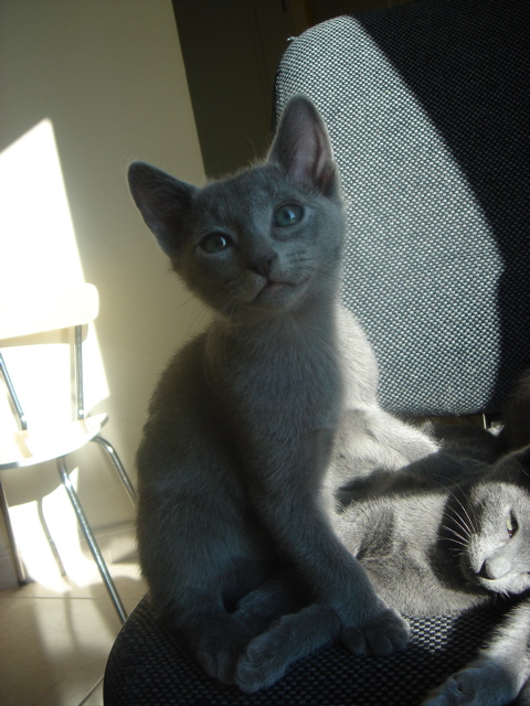 DSC02285.JPG