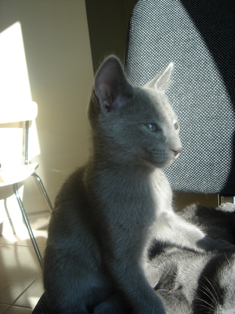 DSC02286.JPG