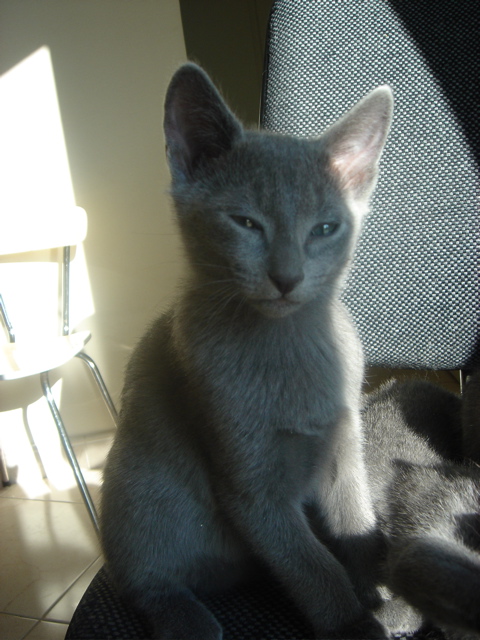 DSC02287.JPG