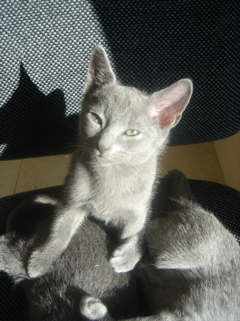 DSC02299.JPG