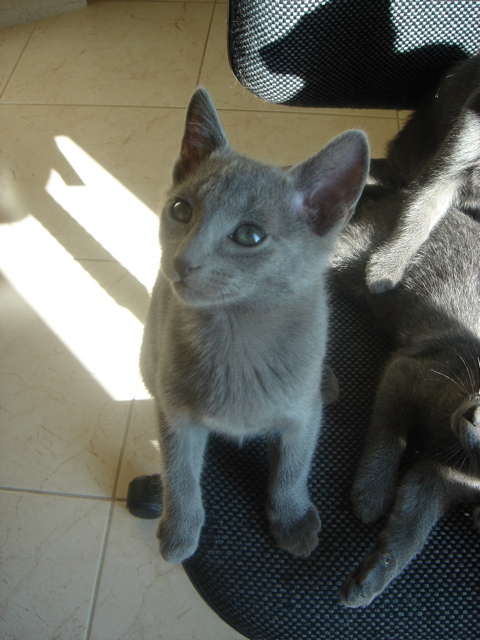 DSC02302.JPG