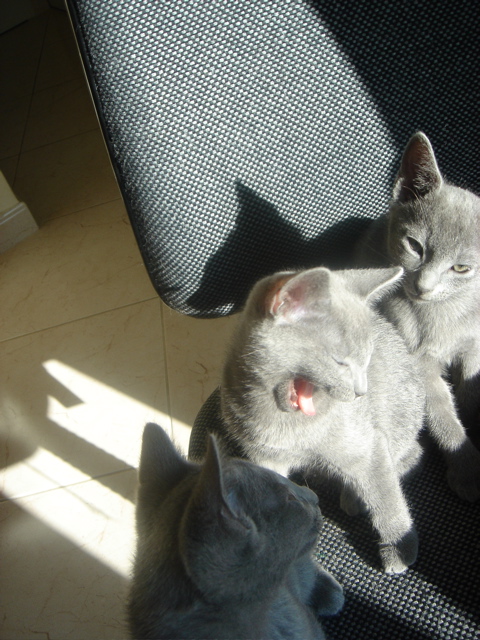 DSC02307.JPG