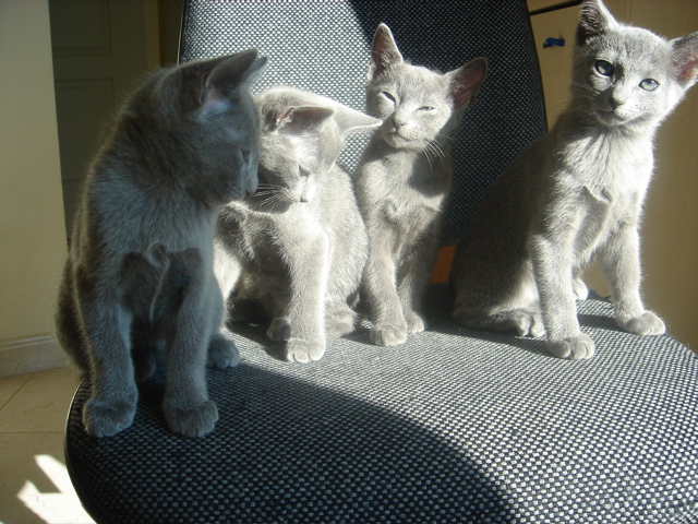 DSC02308.JPG