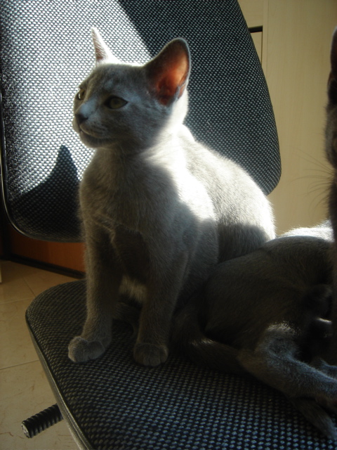 DSC02312.JPG