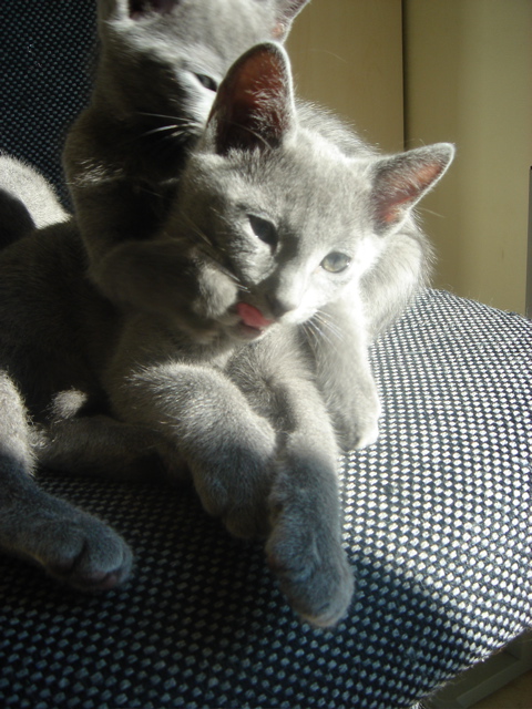 DSC02314.JPG
