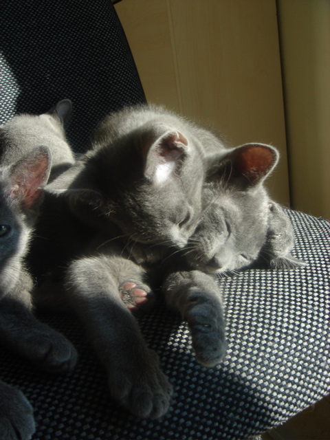 DSC02315.JPG
