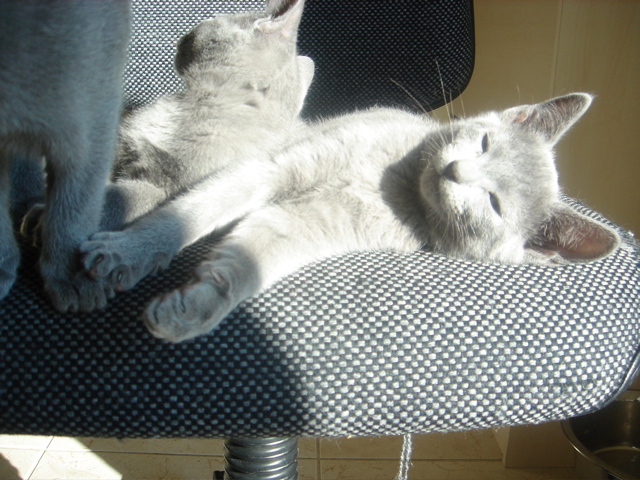 DSC02272.JPG