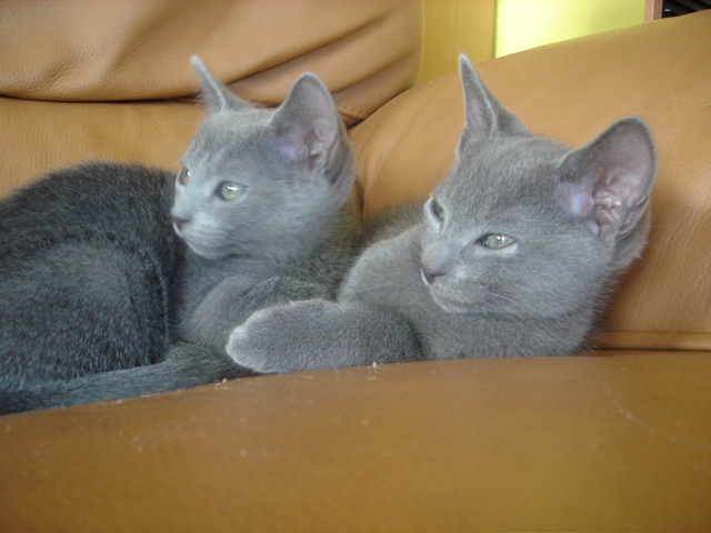 DSC02341.JPG