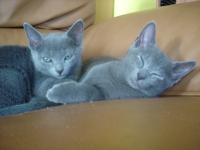 DSC02345.JPG