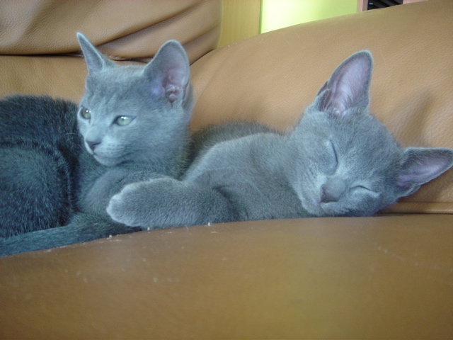 DSC02347.JPG
