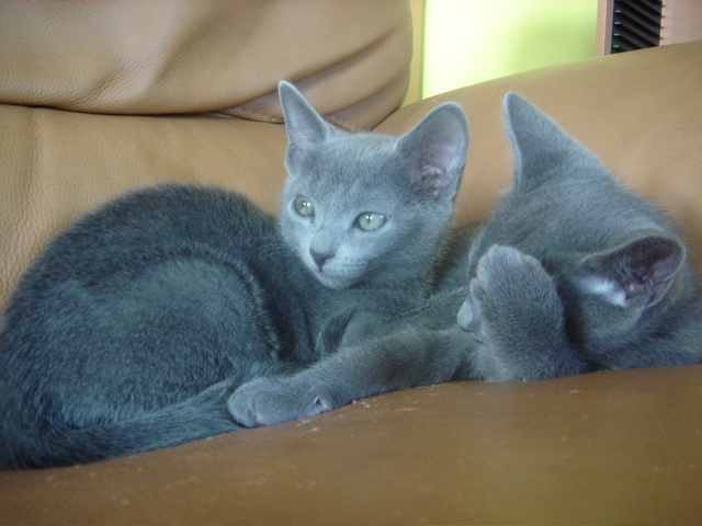 DSC02348.JPG