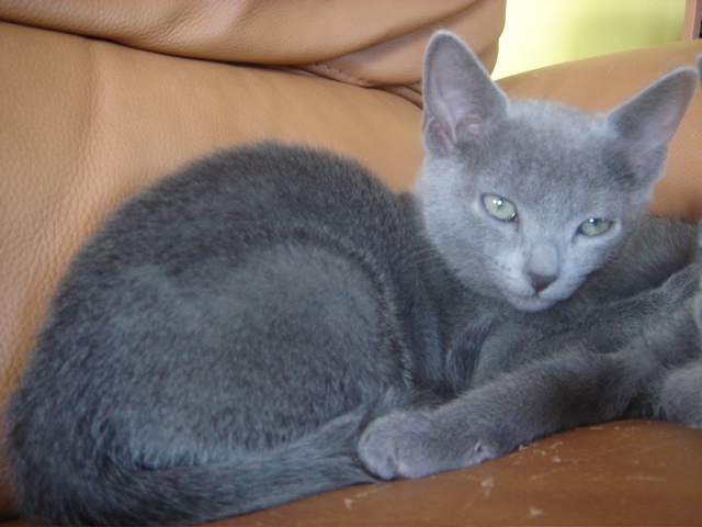 DSC02349.JPG