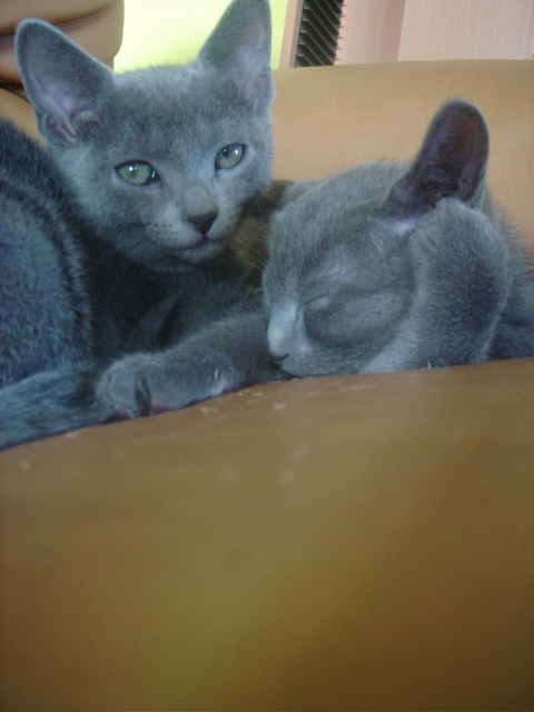 DSC02350.JPG