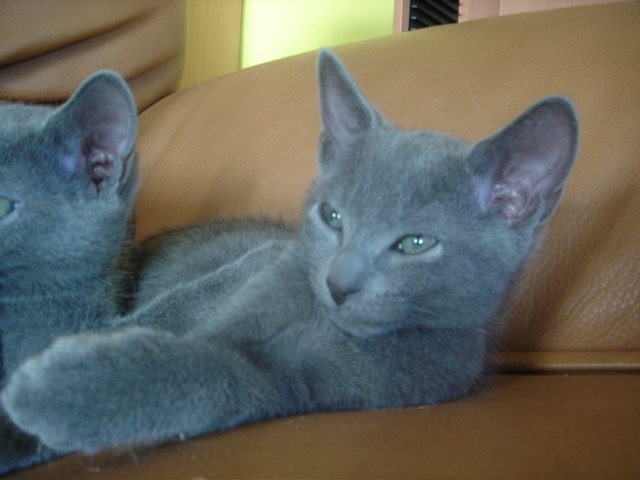 DSC02355.JPG