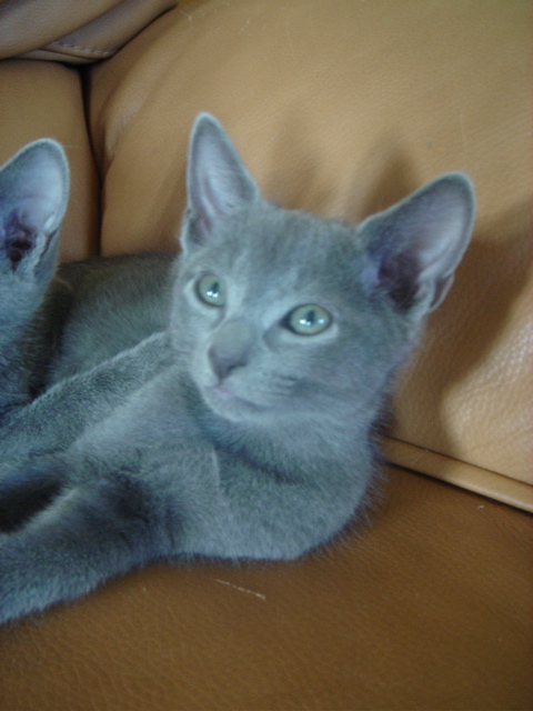 DSC02357.JPG