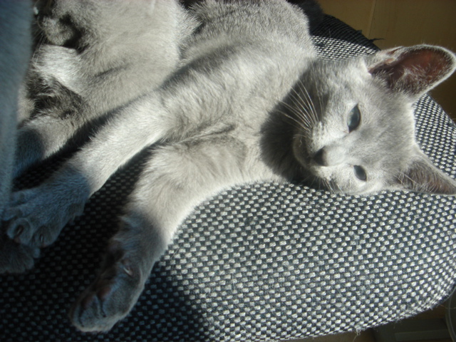 DSC02273.JPG