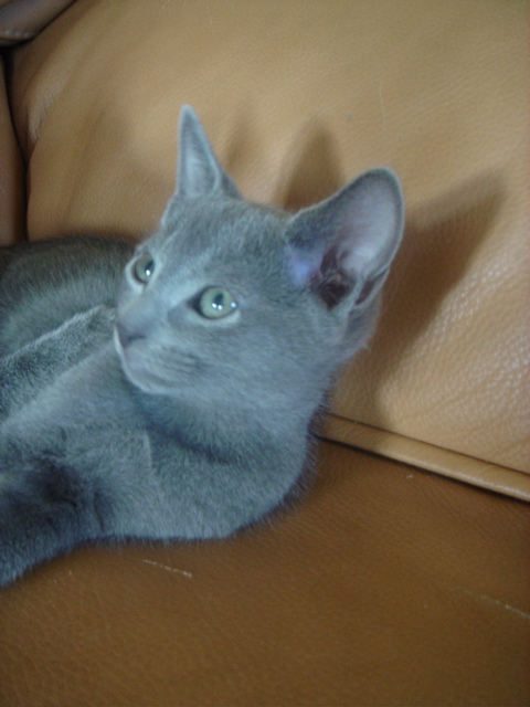 DSC02359.JPG