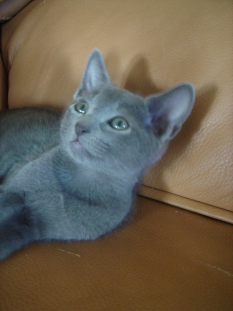DSC02360.JPG