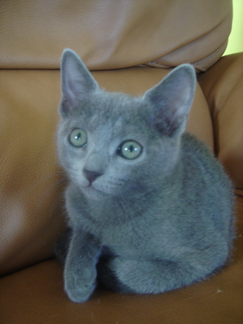 DSC02364.JPG