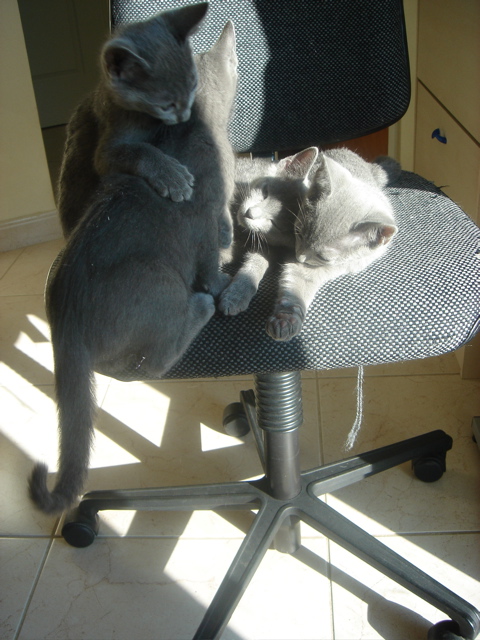 DSC02274.JPG