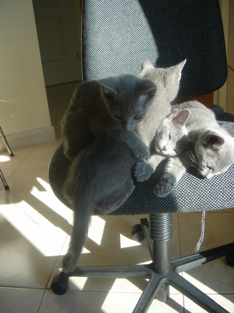 DSC02275.JPG