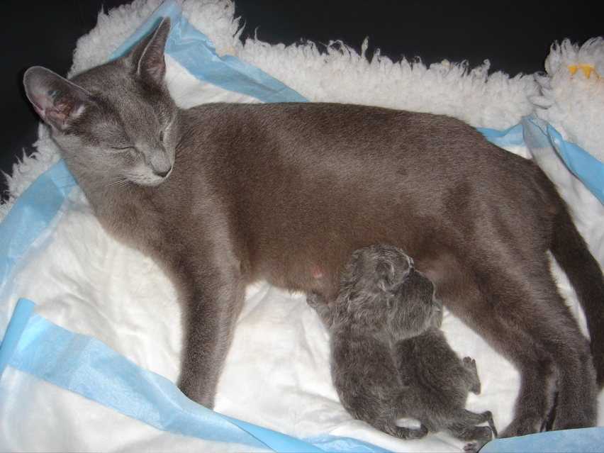 DSC00674.JPG