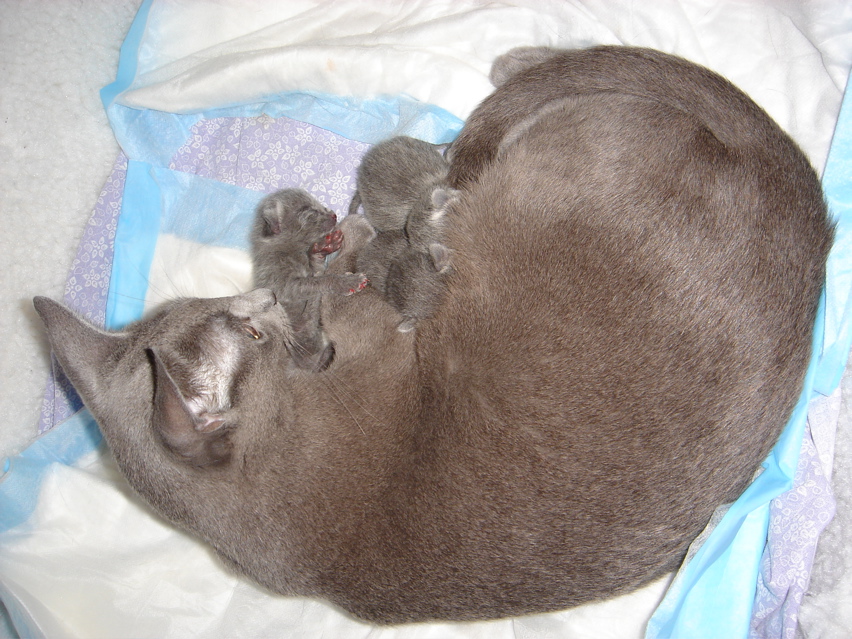 DSC00681.JPG