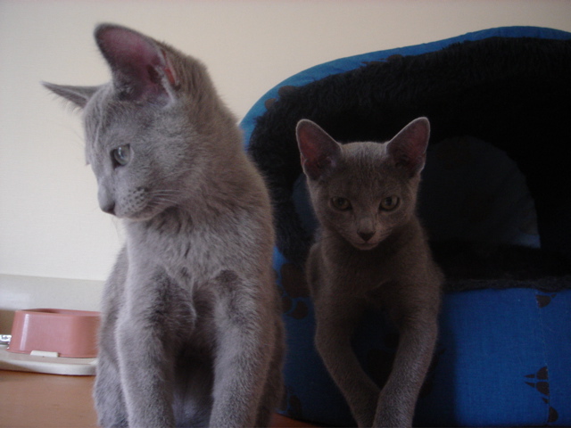 DSC02484.JPG