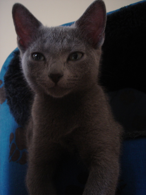 DSC02487.JPG
